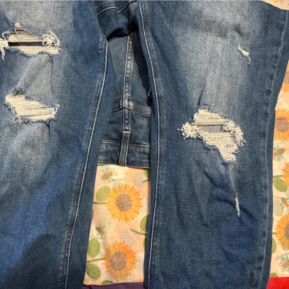 Vervet distressed skinny jeans